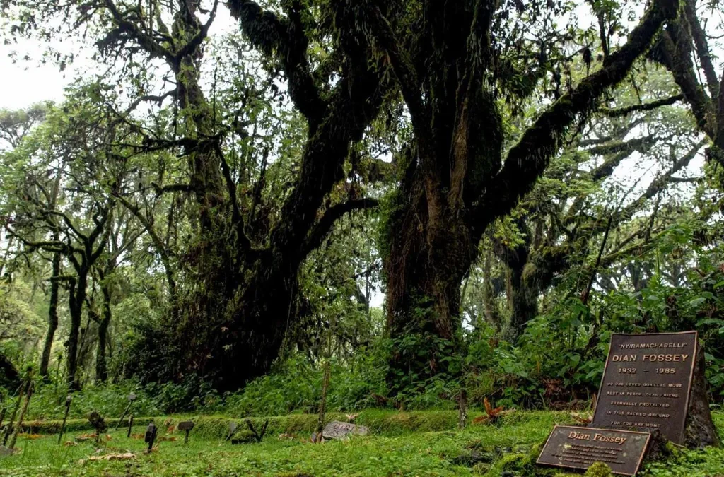 Dian Fossey Tomb Hike