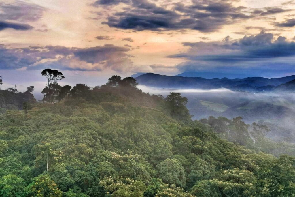 Gishwati-Mukura National Park: Rwanda's Newest Park Guide