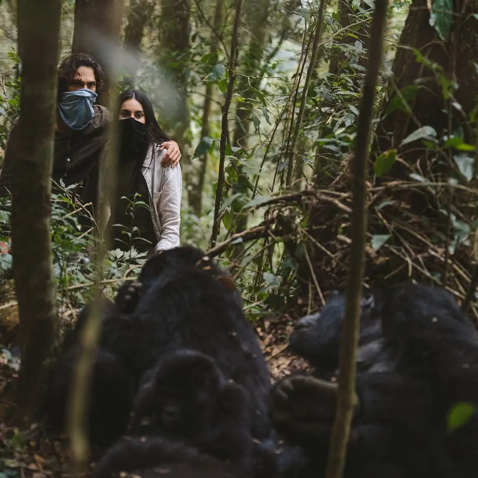 Rwanda Gorilla Trekking Expeditions