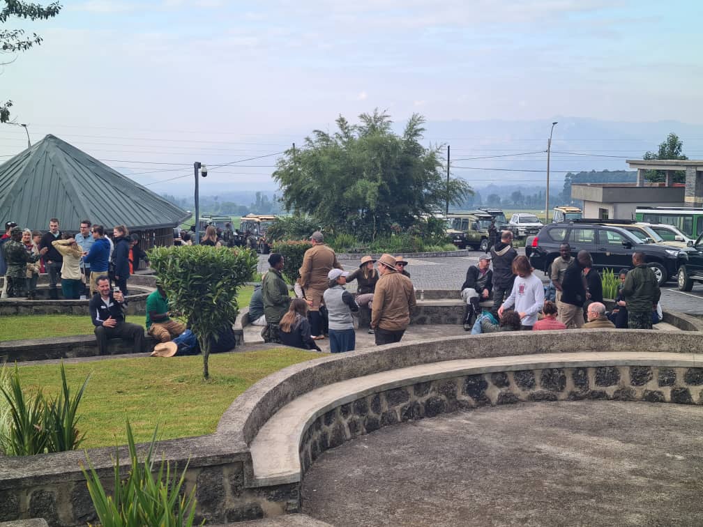 What to Expect on a Gorilla Trekking Day in Rwanda