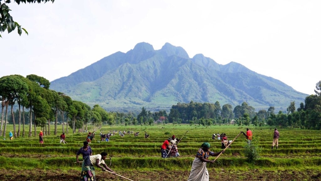 Mount Sabyinyo