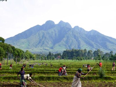 Mount Sabyinyo