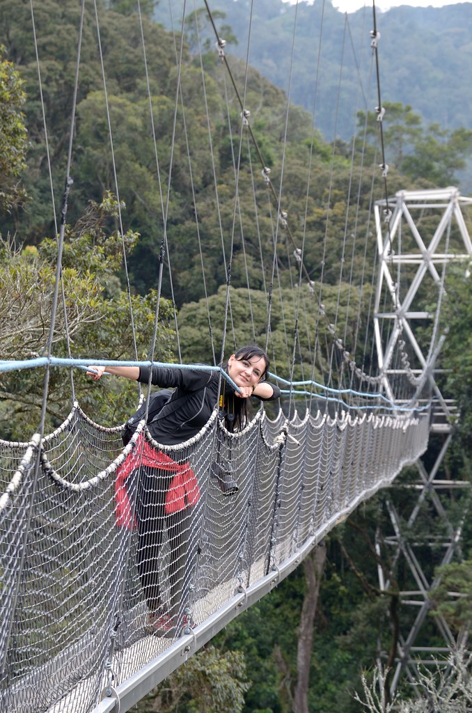 Nyungwe Canopy Walk