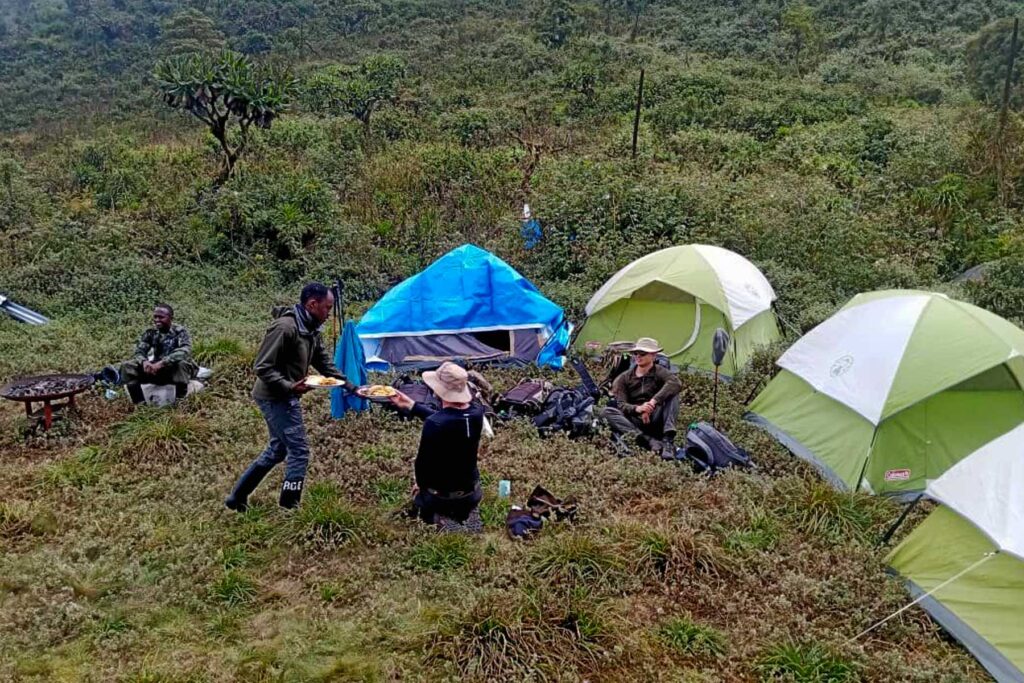 Mount Karisimbi: Rwanda's Highest and Most Demanding Hike