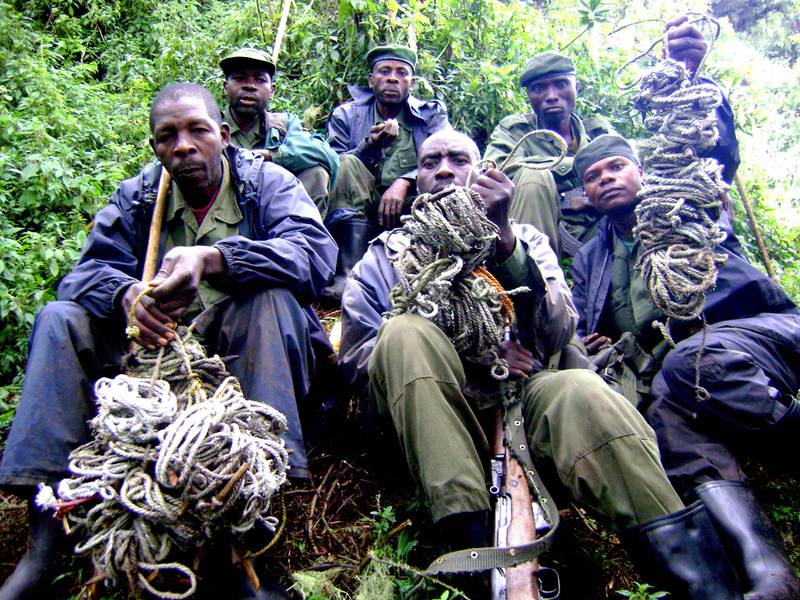Anti-Poaching and Ranger Operations in Volcanoes National Park