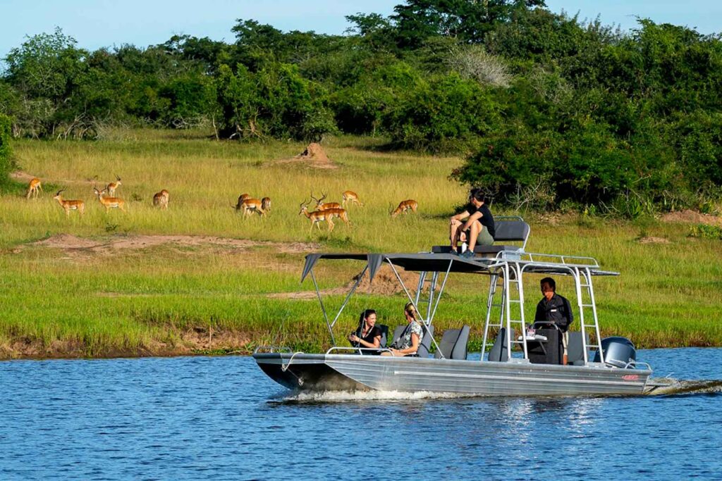 6-Day Luxury Rwanda Safari: Akagera & Gorilla Trekking