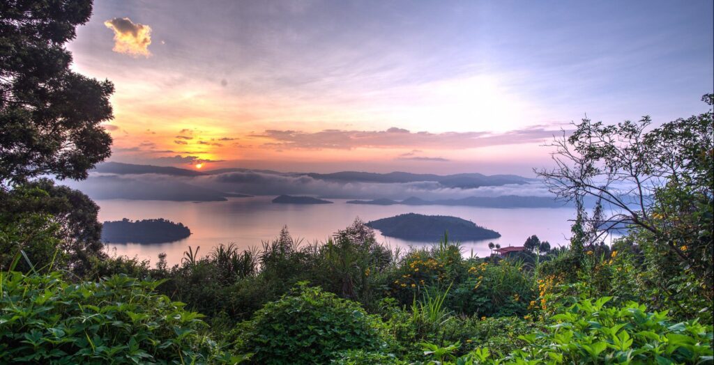 DR Congo Safaris 2027: Gorilla Trekking, Cost & Safety Guide
