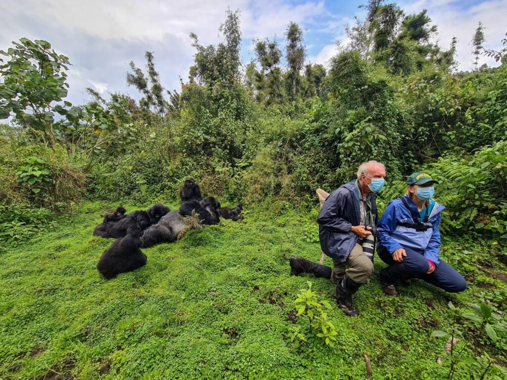 Exclusive Gorilla Trekking in Rwanda: The Private Trek Guide