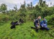 Exclusive Gorilla Trekking in Rwanda: The Private Trek Guide