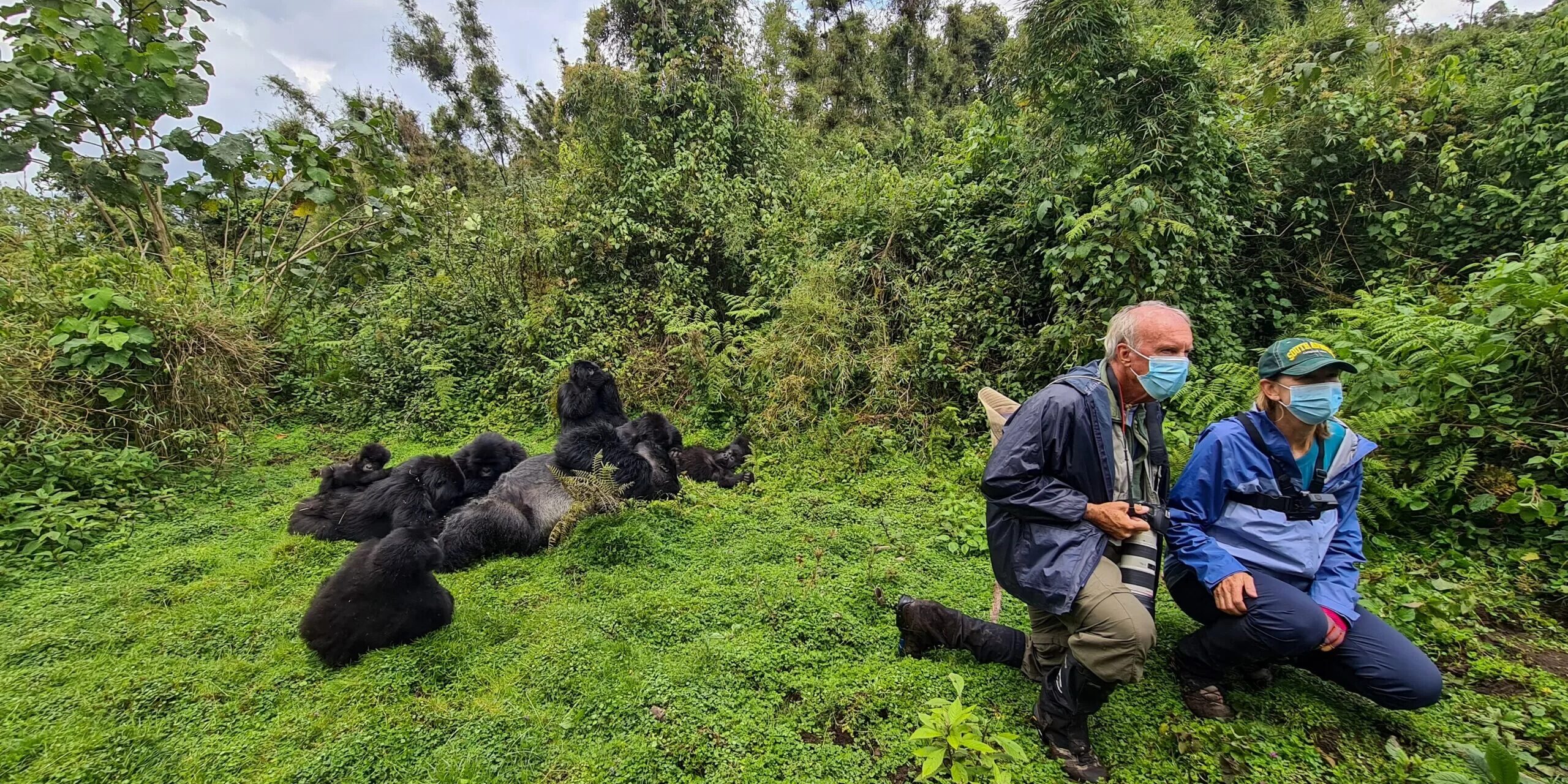 Exclusive Gorilla Trekking in Rwanda: The Private Trek Guide
