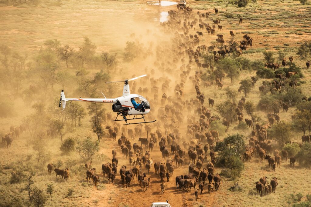 Serengeti National Park 2027: The Complete Migration Guide