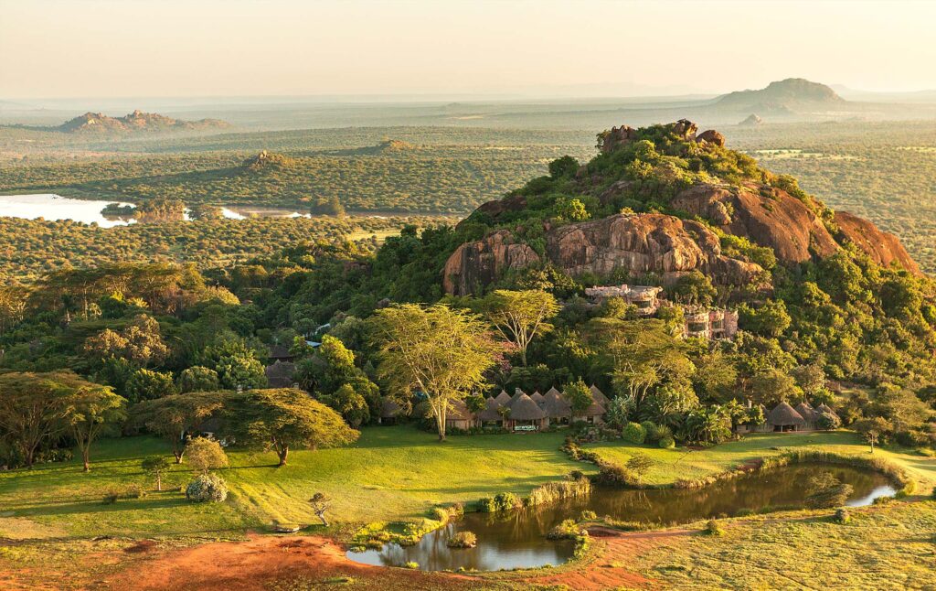 Laikipia Plateau Safari Guide: Rhinos, Wild Dogs & Star Beds