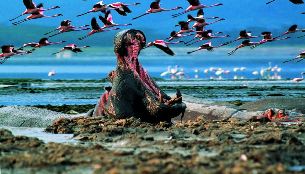 Lake Nakuru National Park