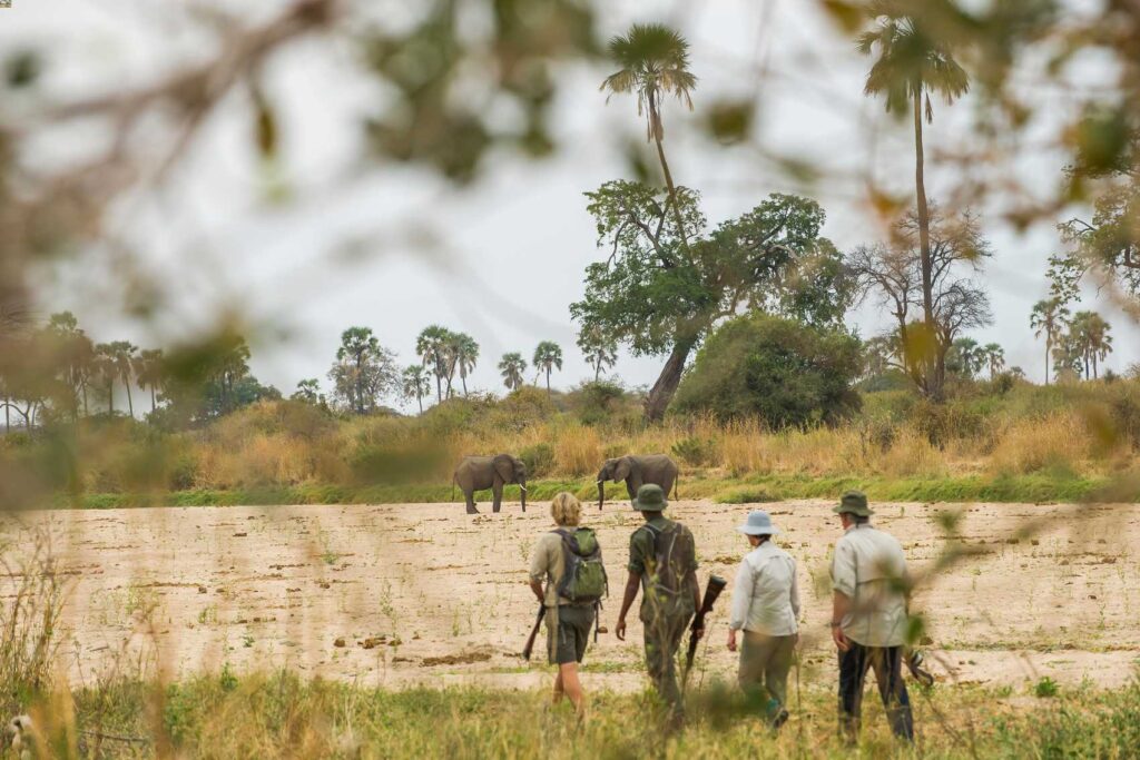 Ruaha National Park