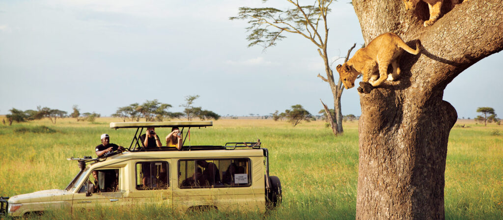 Tanzania Safaris: The Complete 2027 Guide to Cost & Timing