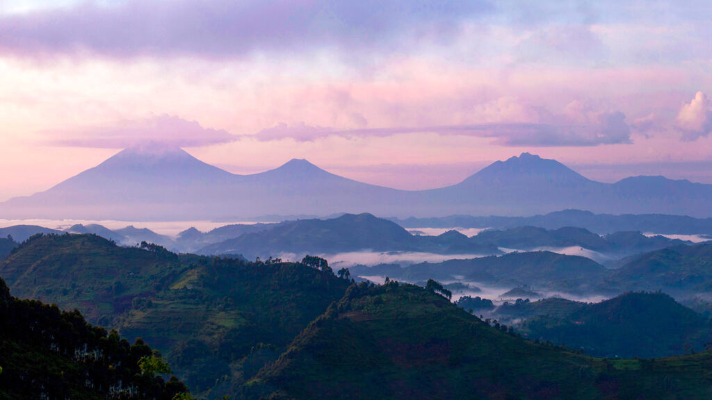 9-Day Virunga Circuit Safari | Rwanda, Uganda & DRC